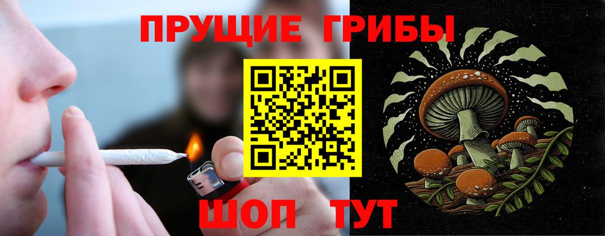 Чусовой  Псилоцибиновые грибы GOLDEN TEACHER  Вход с VPN 